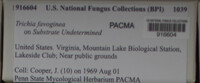 Image Associated With the Occurence